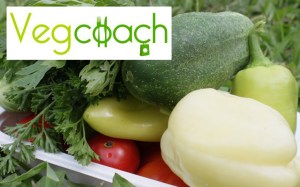 Vegcoach